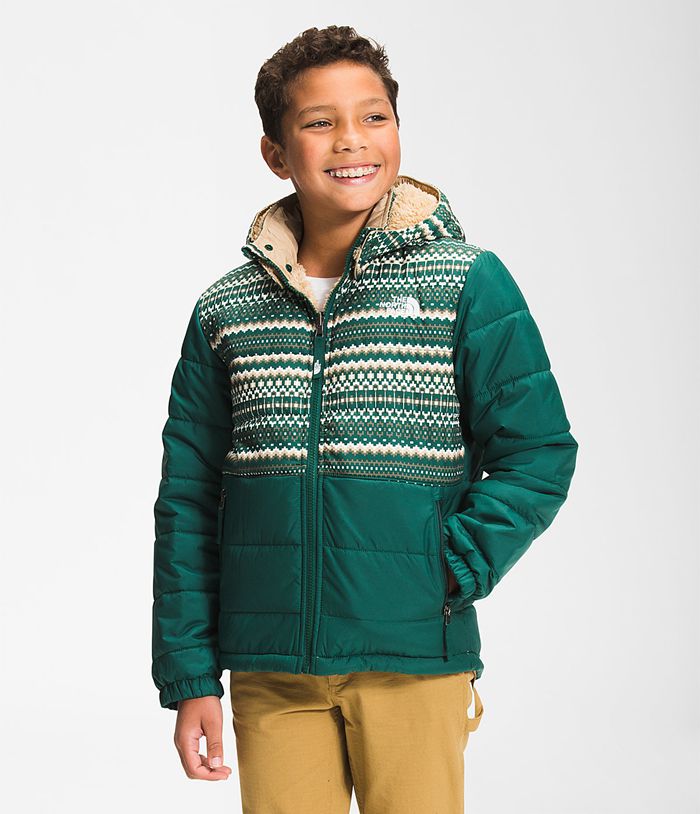 Chaqueta The North Face Niño Verde Printed Reversible Mount Chimbo Full Cremallera Hooded 60143GNSX